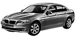 BMW F10 P005D Fault Code